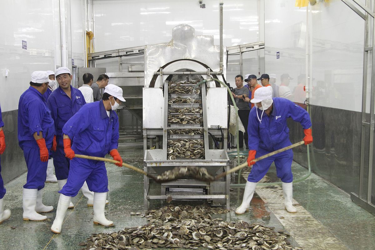 我想要一篇关于菌菇工厂化生产行业现状的调研材料要有具体数据支撑越详细越好。