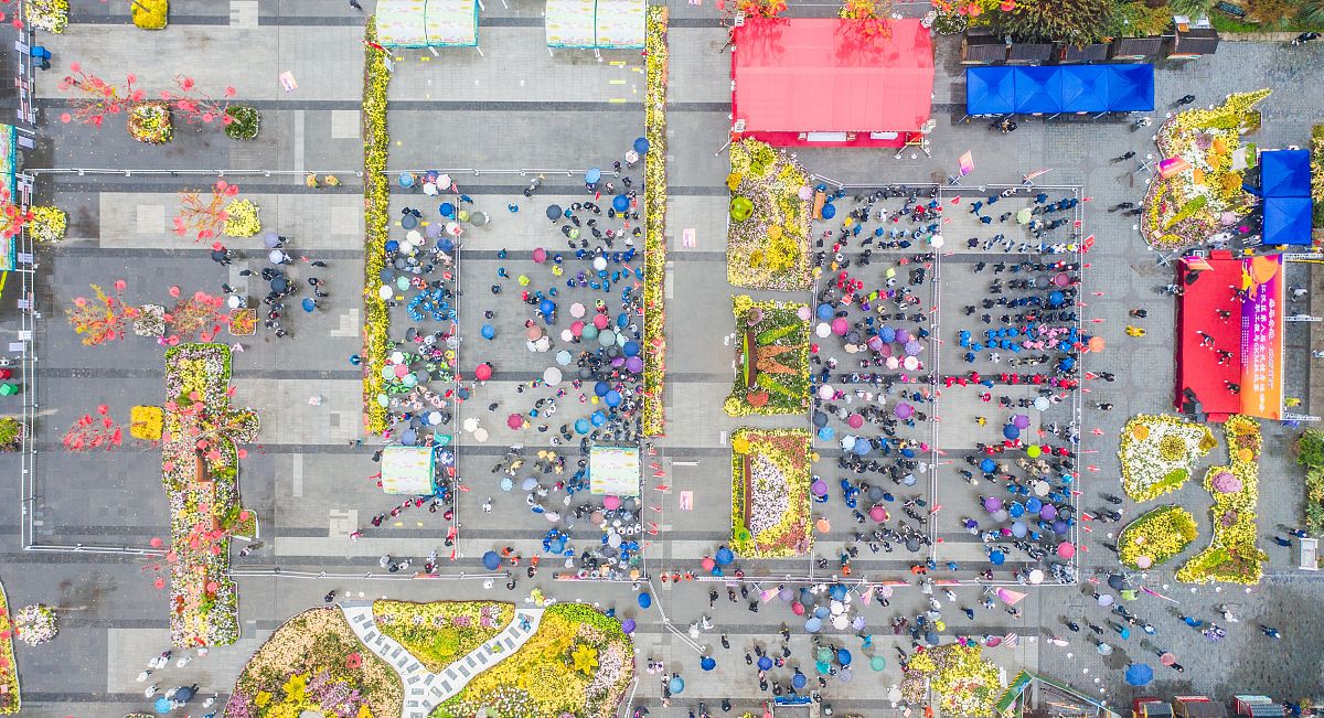 创可贴挑战是什么