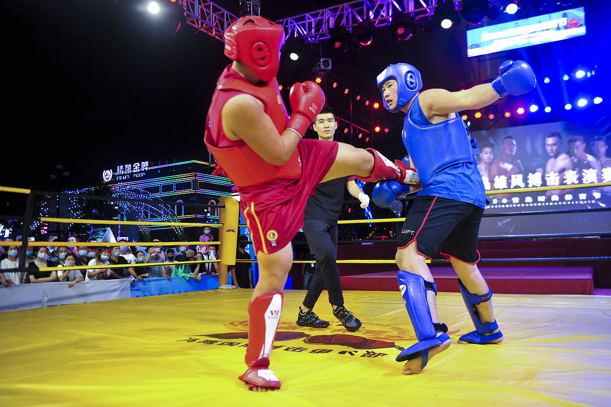 职业打架是什么