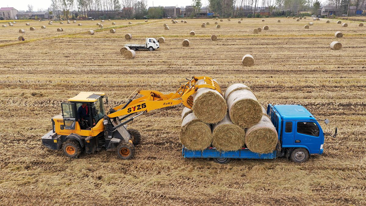 2022年北京朝阳区农业机械化学校招生要求