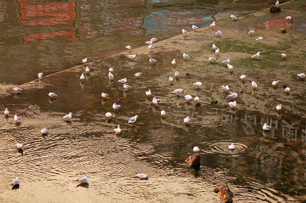 青岛西海岸航海职业学校是民办还是公办？