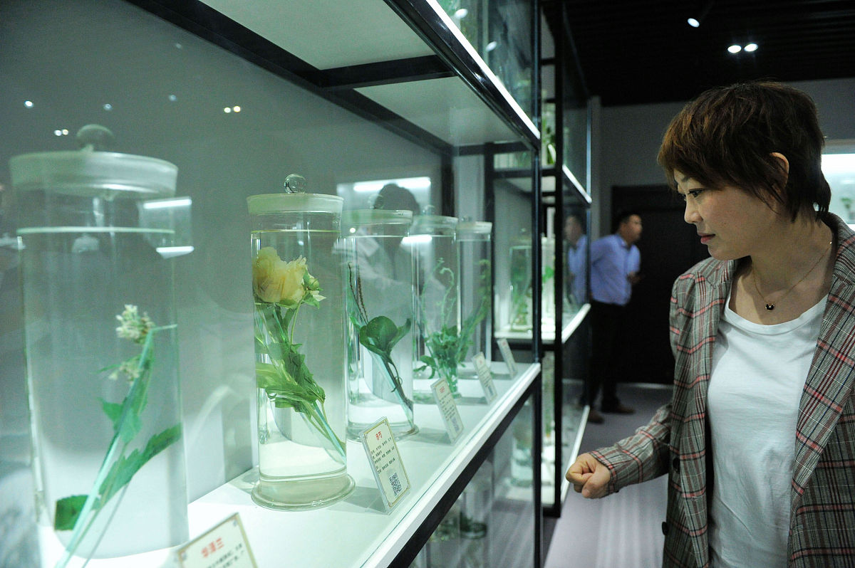 贵阳省医卫校2019招生概况