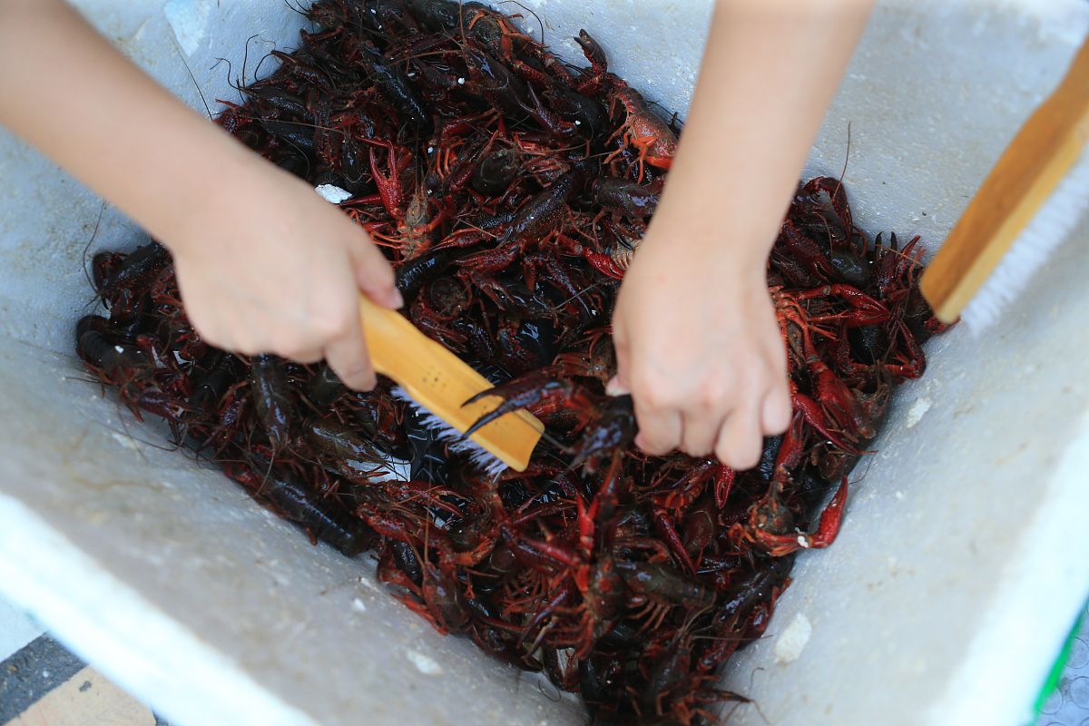 谈谈淄博烧烤火出圈为安康市的发展带来什么启发1000字