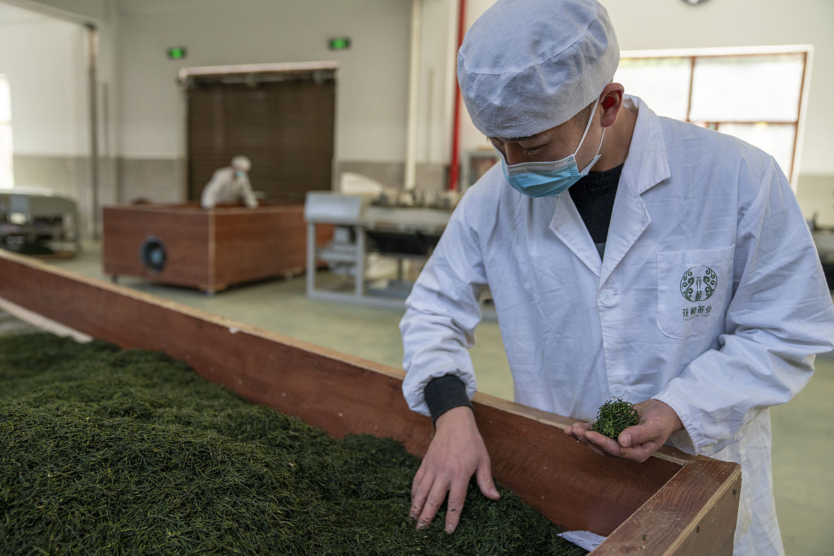 上饶职业技术学院茶叶生产加工技术专业怎么样