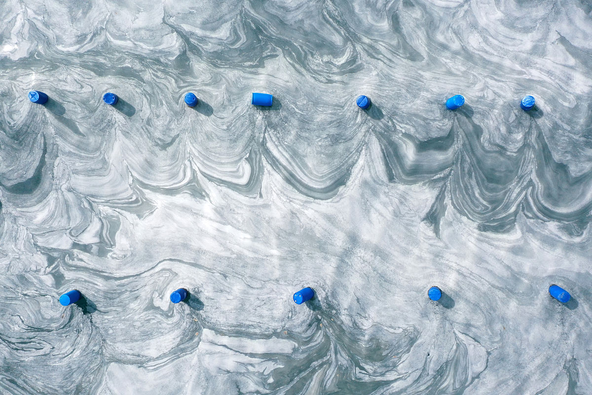 大连海洋学校养殖实训室的风光