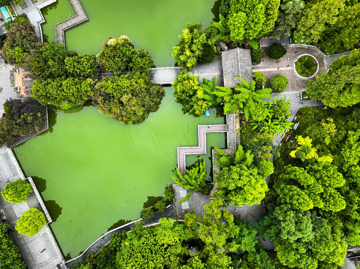 中国园林与西方园林进行对比