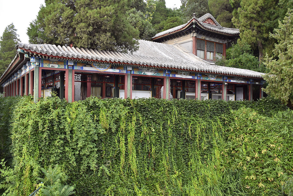 用最新数据总结一下中国畜禽养殖规模。