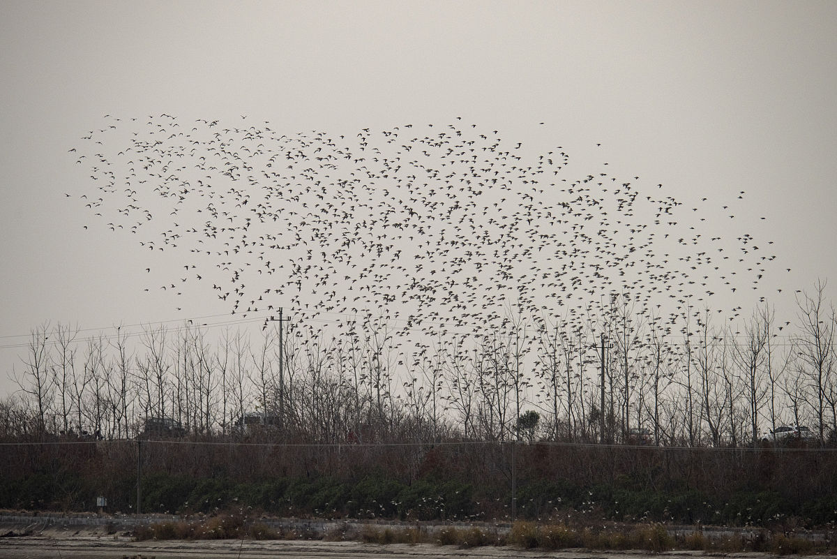 余姚第四职业技术学校2022年招生简章