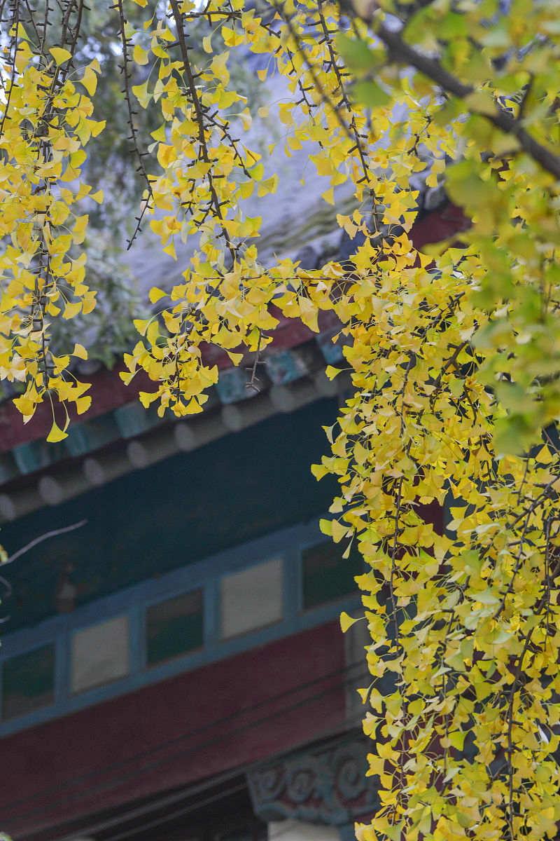 江苏2022年有哪些幼师学校-怎么样