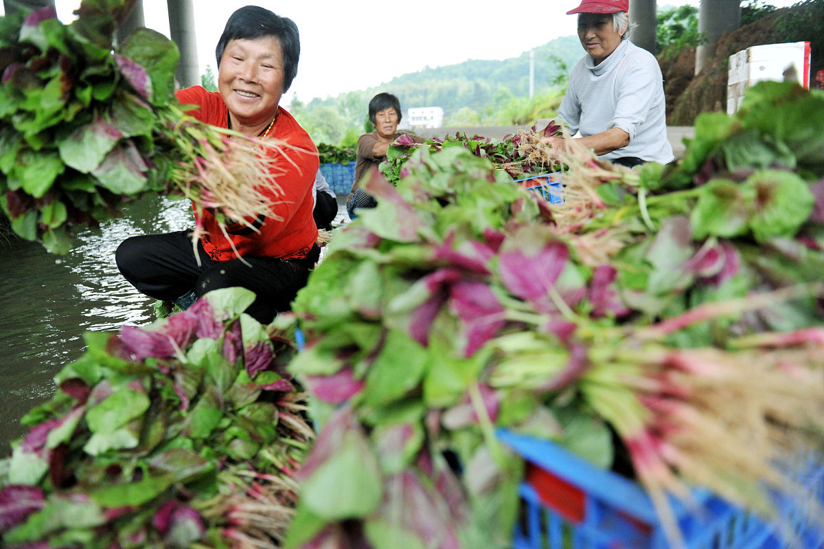 江西科技职业学院会计专业好就业吗