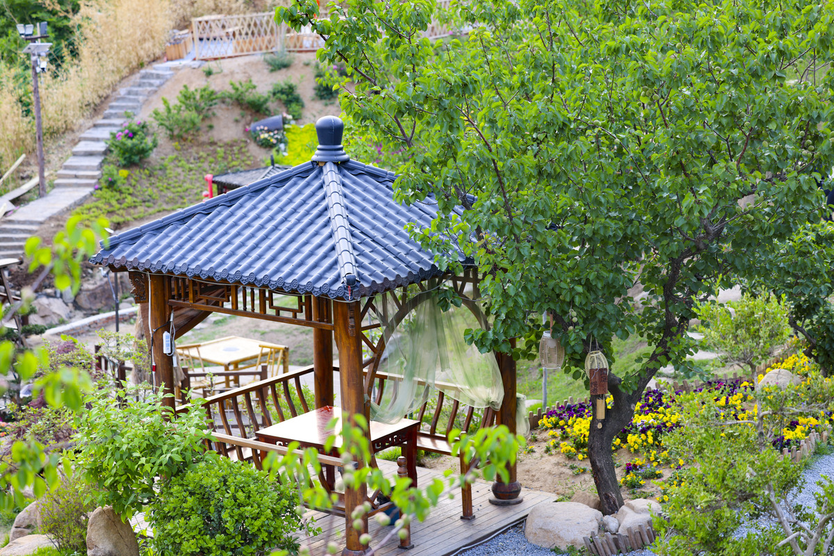 山西侯马养生园：传统养生理法，开启健康长寿生活