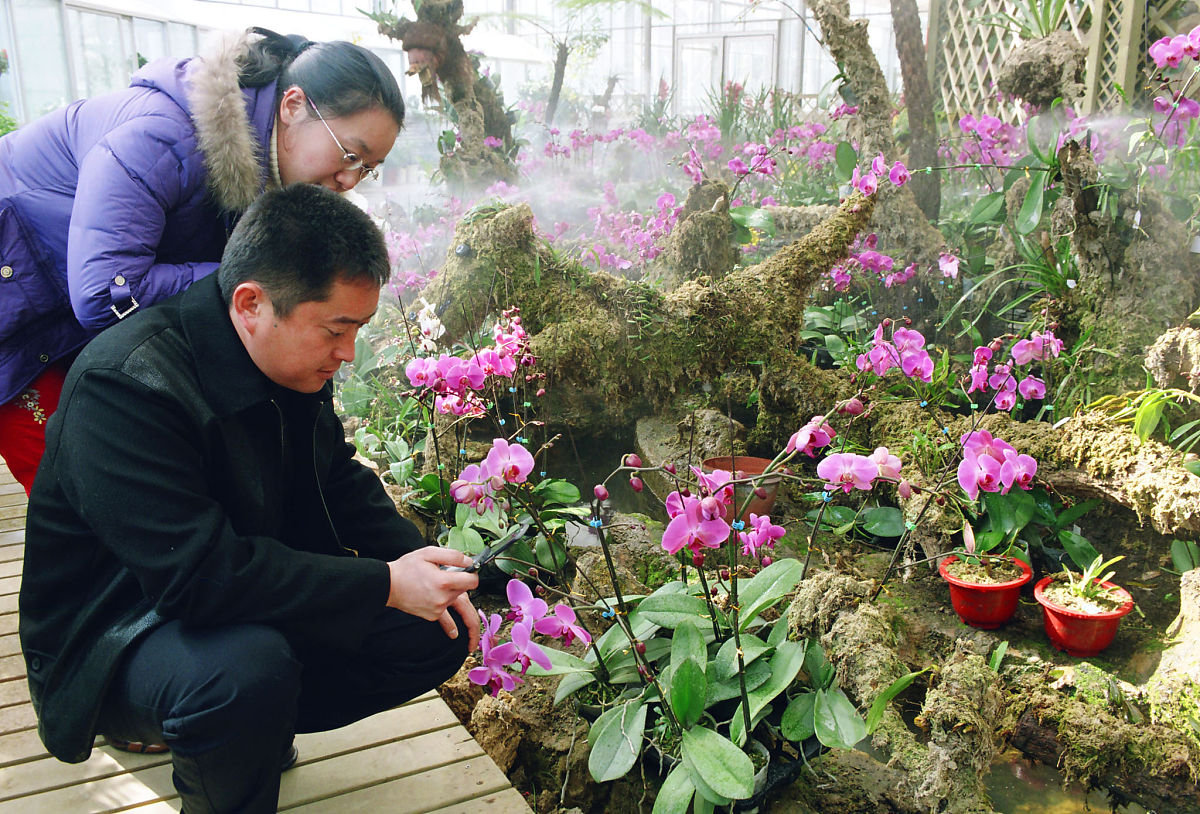 青岛园林技工学校花卉艺术专业怎么样？教学质量及未来发展前景