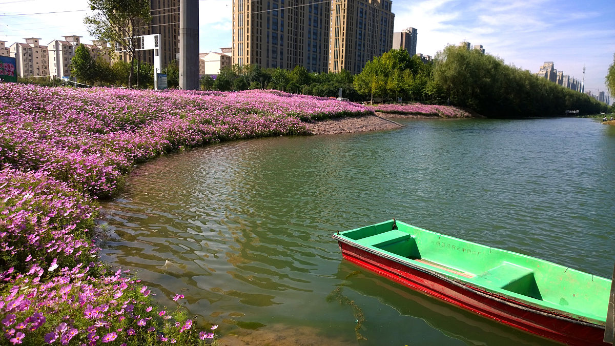 河南农业职业学院生物技术及应用专业如何