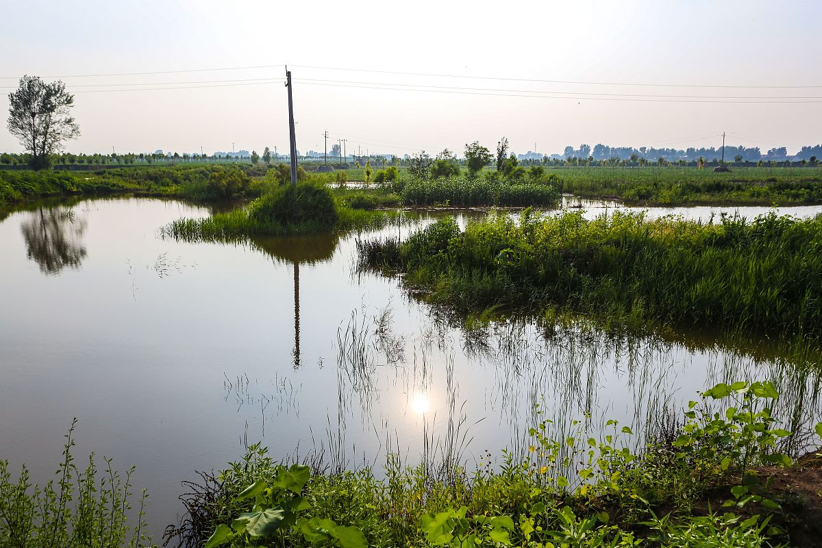 邯郸2023年读卫校好不好？值得吗？