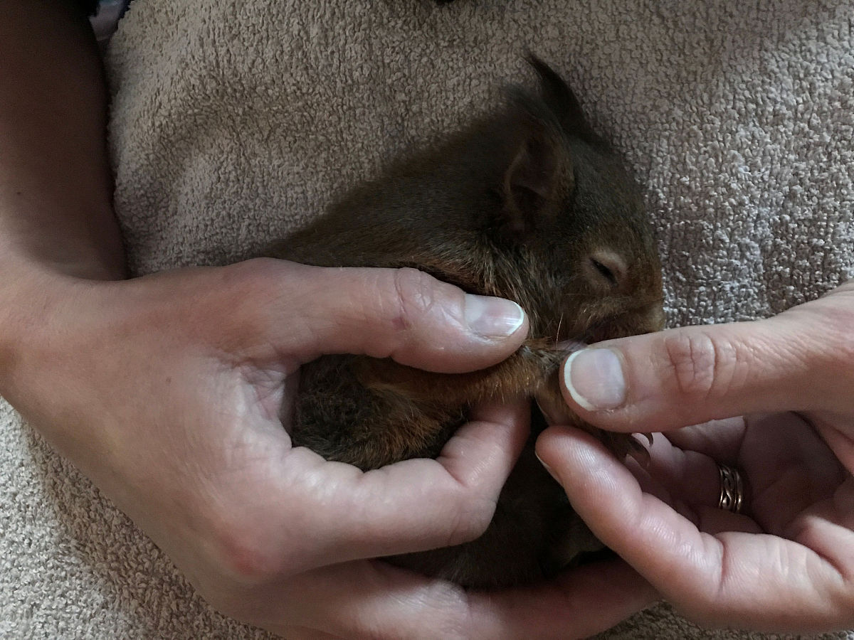 我要给我的新公司起名字