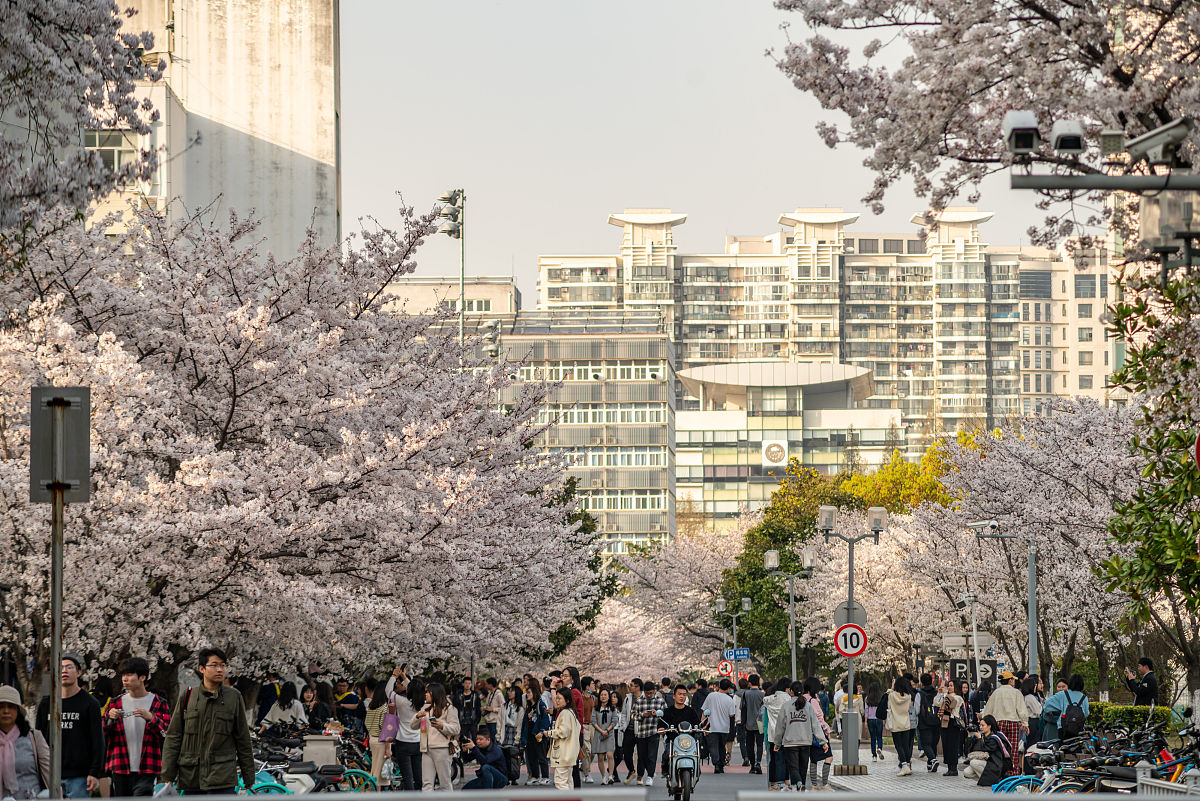 四平职业大学行政管理专业怎么样？就业前景如何？课程有哪些？