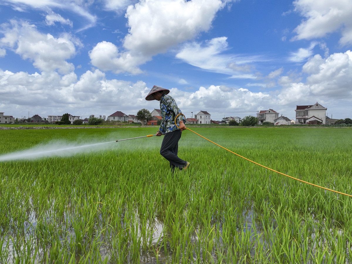 农业执法调研课题：10个热门方向深度解读