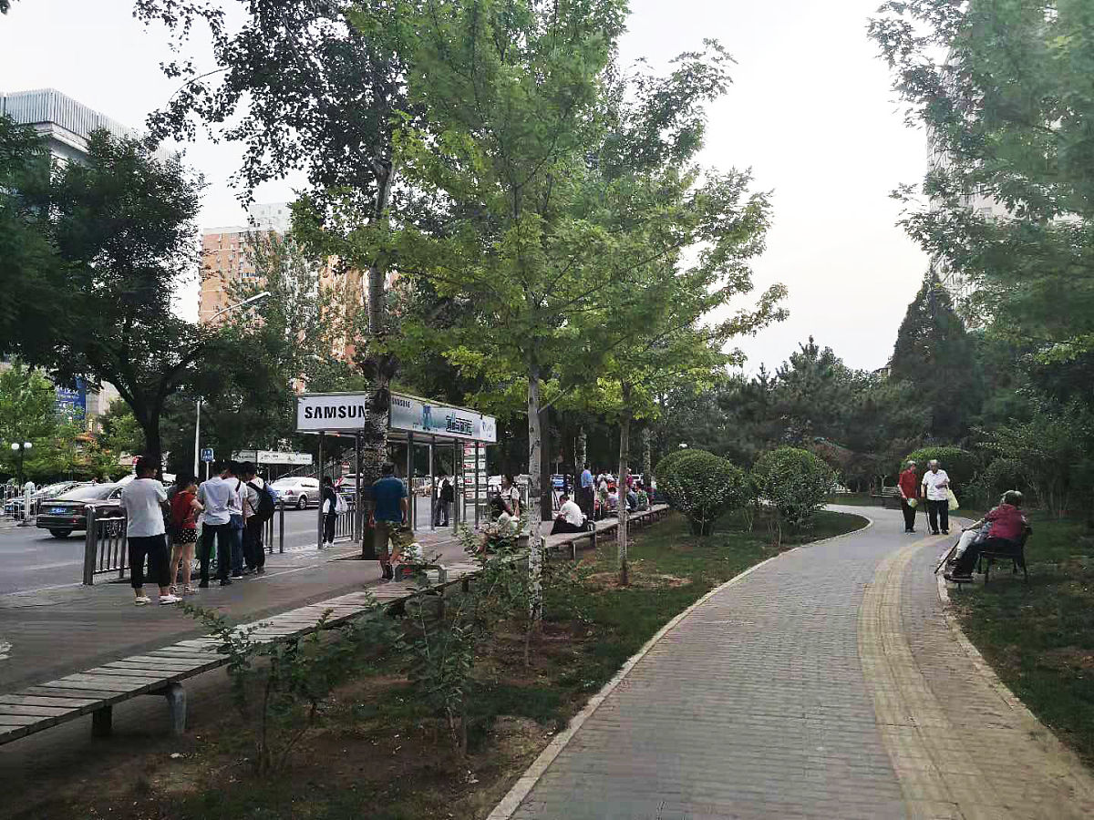 延安市宝塔区‘大树进城’绿化问题及对策研究
