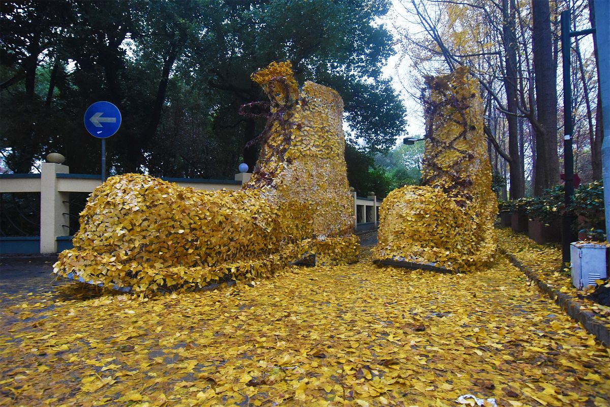 2018年12月4日,杭州,巨型"黄金甲皮鞋"亮相街头.