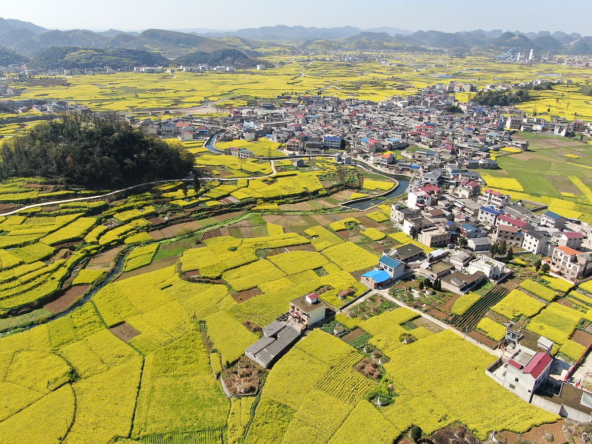 贵州2023年有什么中专学校比较好就业