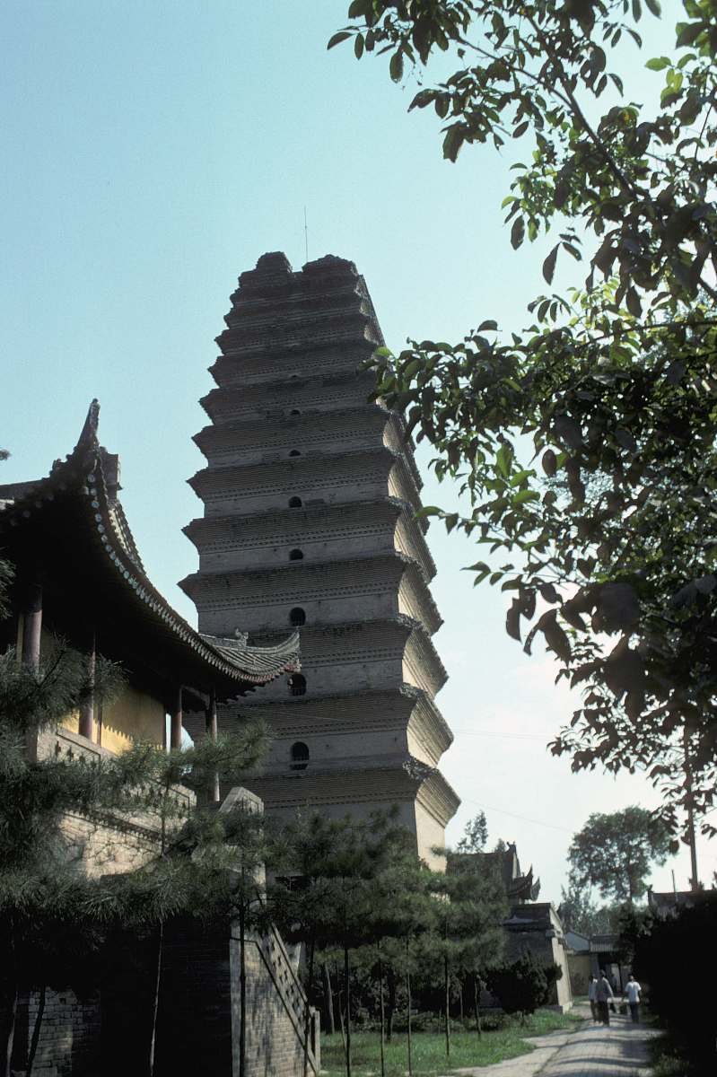 西安市涉外旅游职业学校招生专业有哪些？| 详解热门专业