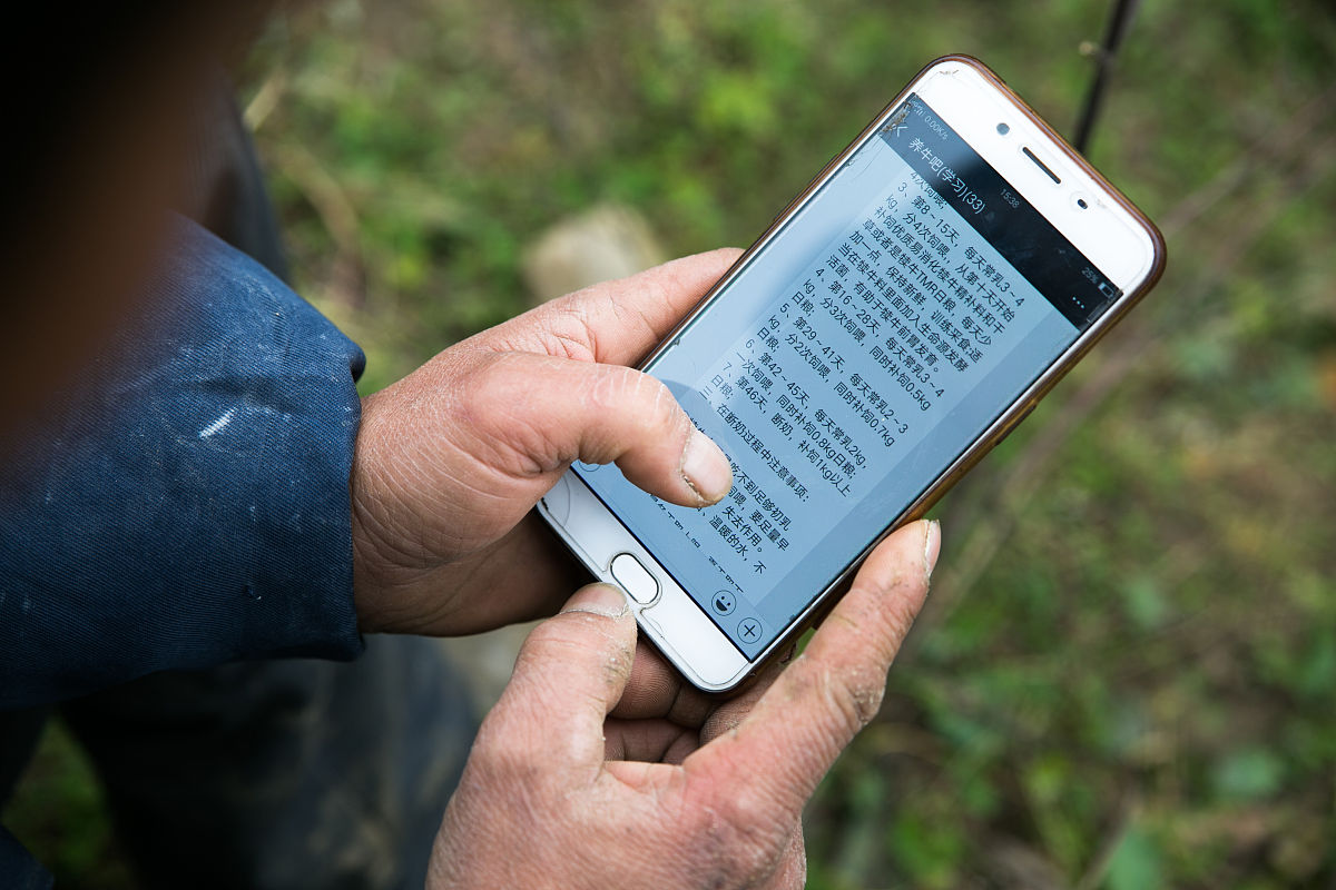 手机旅行记：山东一日游后安全归来！