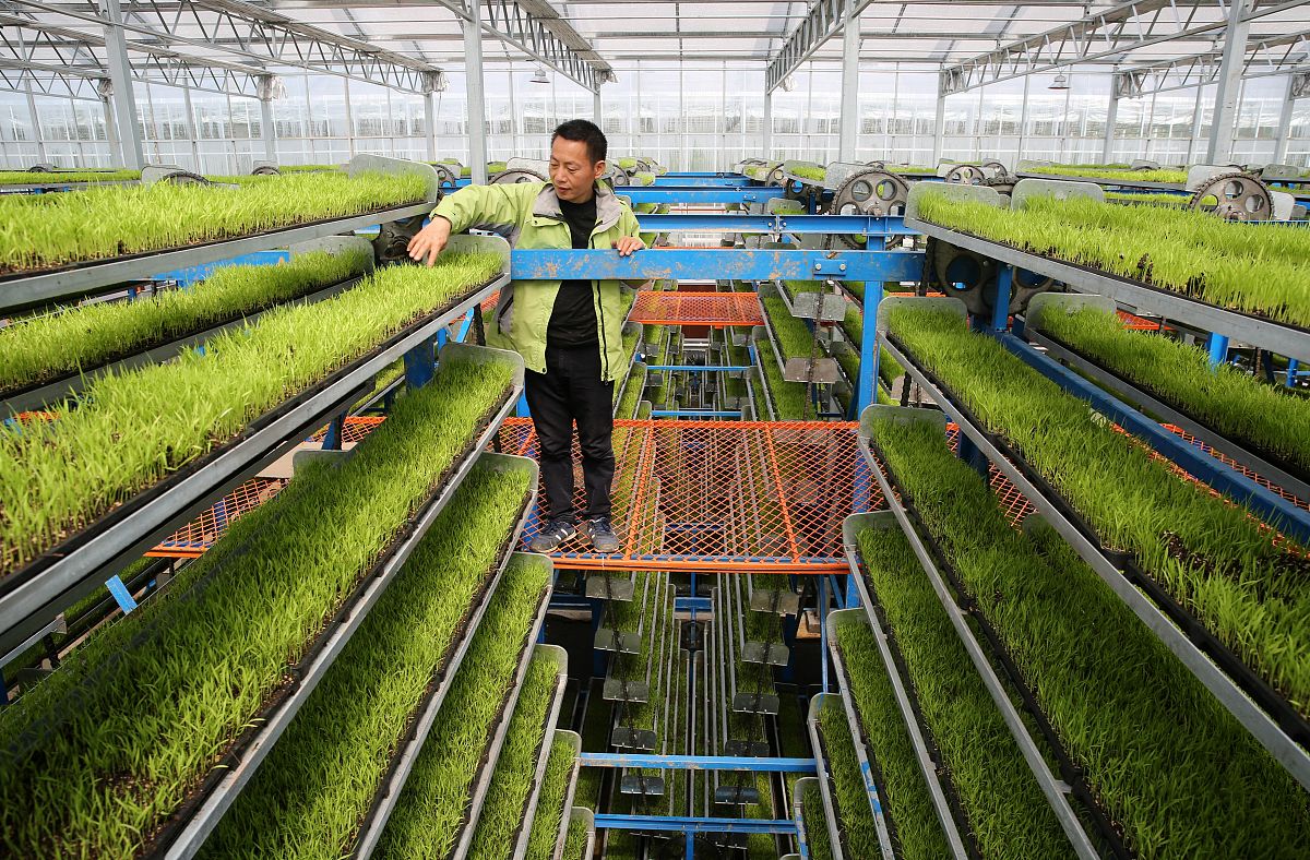 江西科技职业学院市场开发与营销专业怎么样