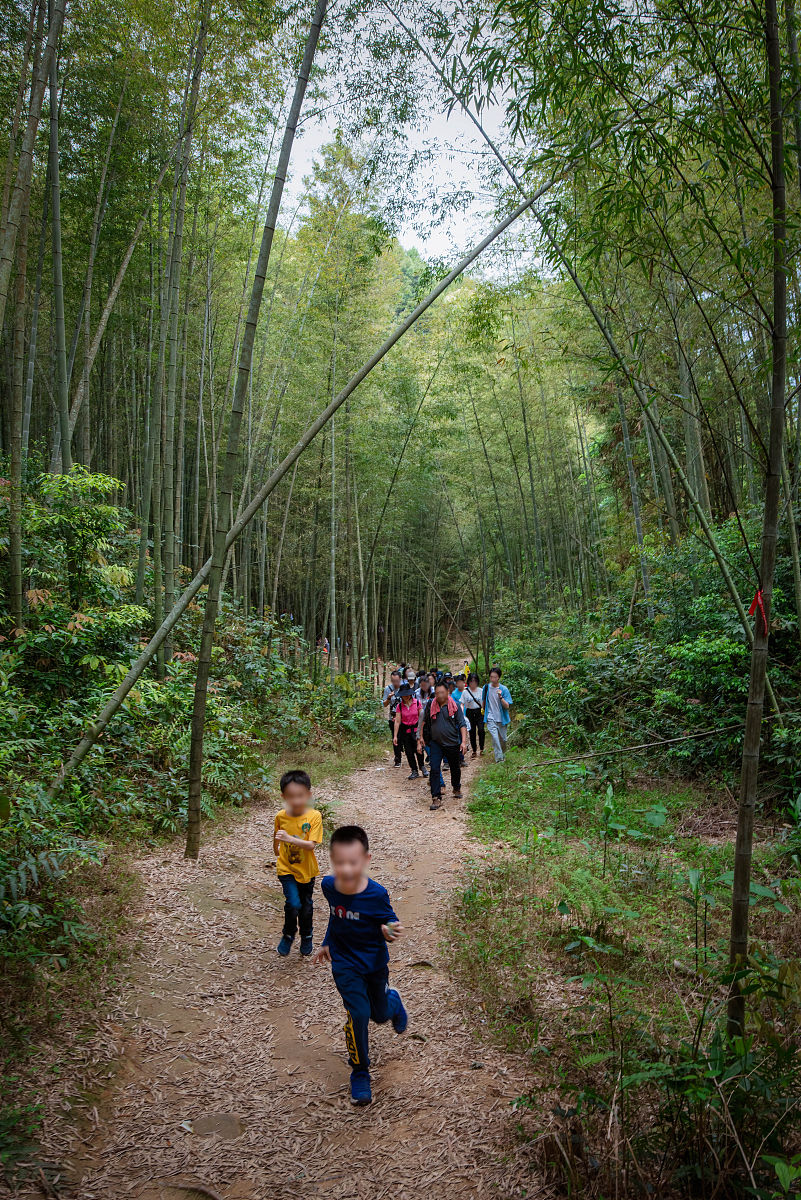 2021年3月28日,广州,溪头村,星溪线竹林徒步.徒步在竹林之中呼吸含氧