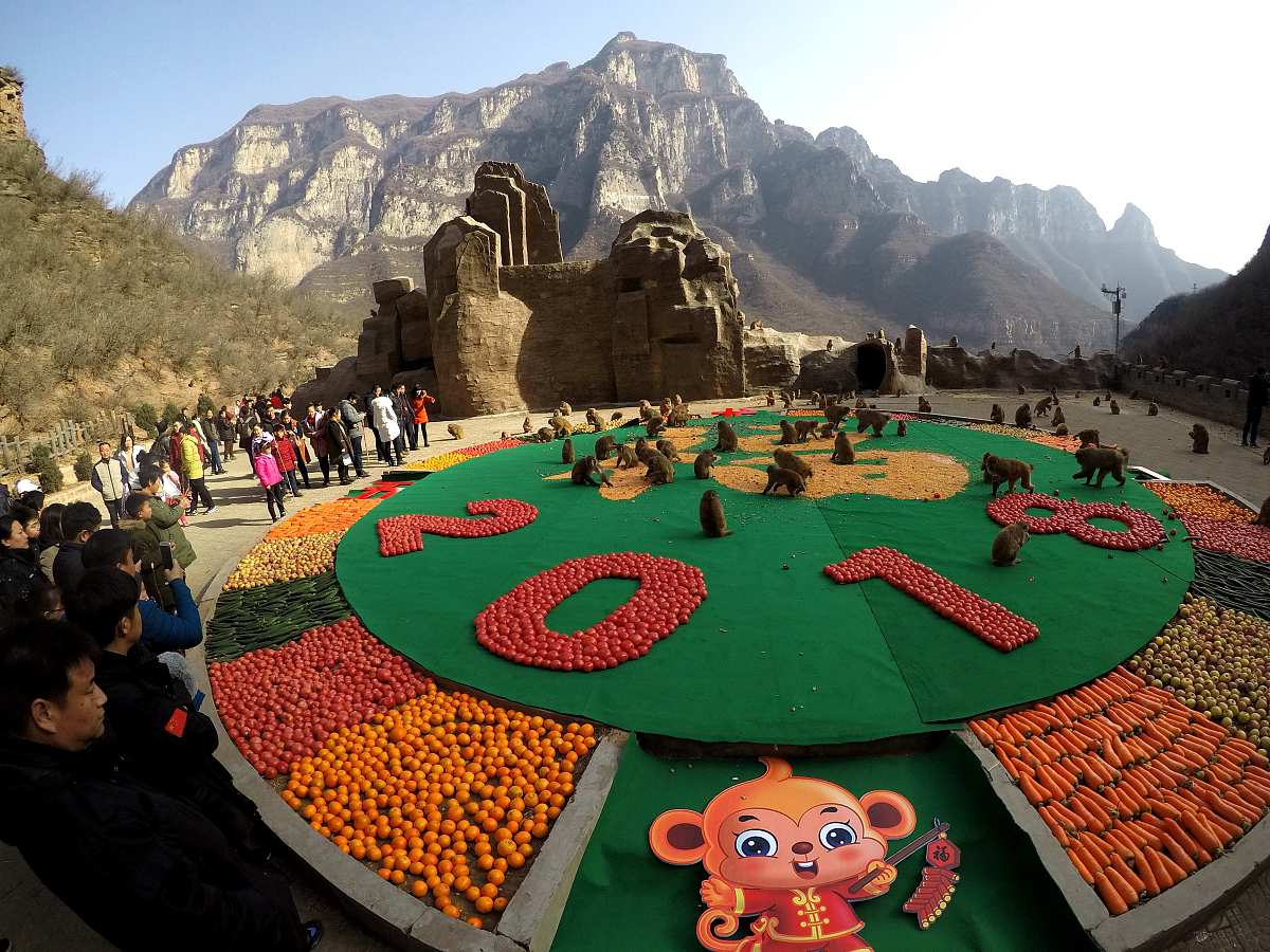 平顶山亲子游好去处：周末带孩子玩乐推荐