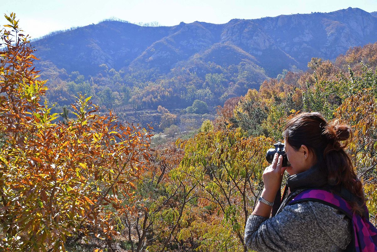 山东旅游职业学院导游专业就业方向及前景分析