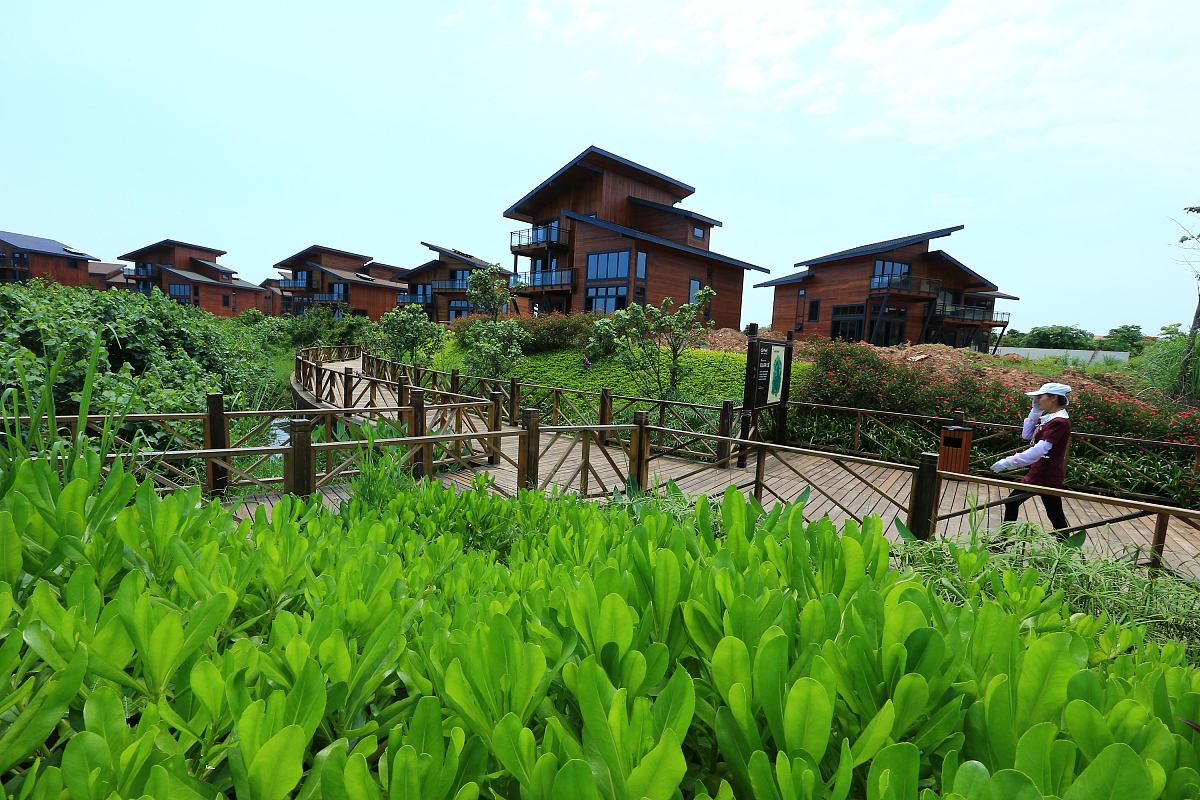 随着共享农庄、庭院经济等相关旅游农庄新模式爆火为了响应乡村振兴政策通过本次大赛帮助海南特色农庄设计可落地的文旅方案请参考组委会提供的海南特色农庄资料择其一农庄进行落地转化方案撰写要求与海洋科技或文化相结合。方案基本框架要求：1．团队名称2．方案名称3．方案摘要4．方案正文作品提交要求：包括但不限于方案现状背景、方案思路、具体方案、可行性分析、财务预算、推广策略、业绩目标等。力求具有时代性、创新性、