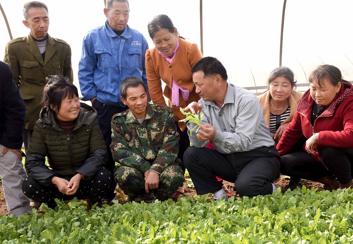 毕节农业学校农业综合技术专业好不好