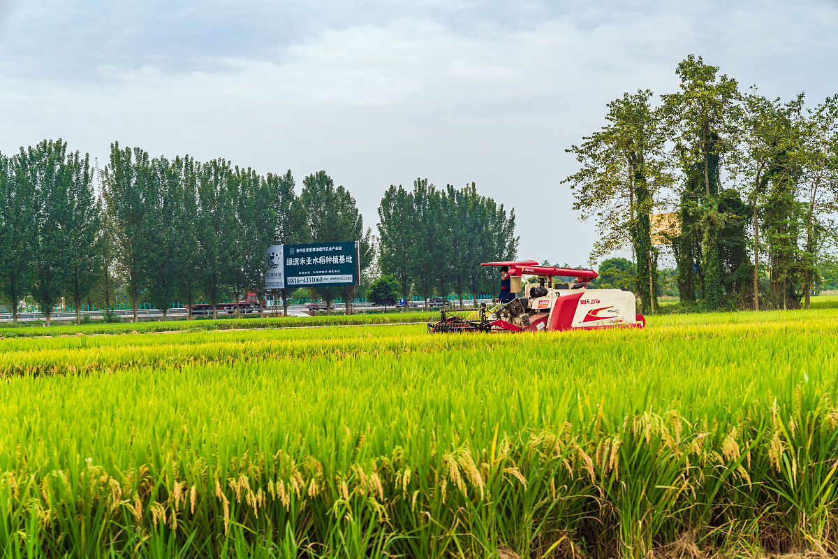 绵阳农业学校的办学模式：实践教学、创新培养、师生互动