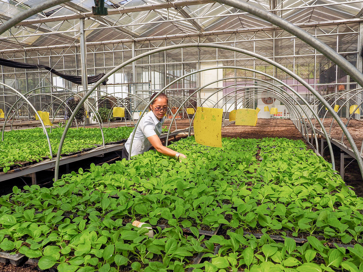 山西管理职业学院软件技术专业就业前景分析