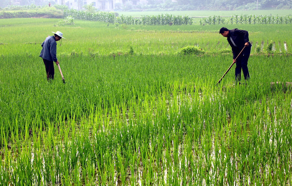 四川哪个高职院校的金融管理专业好