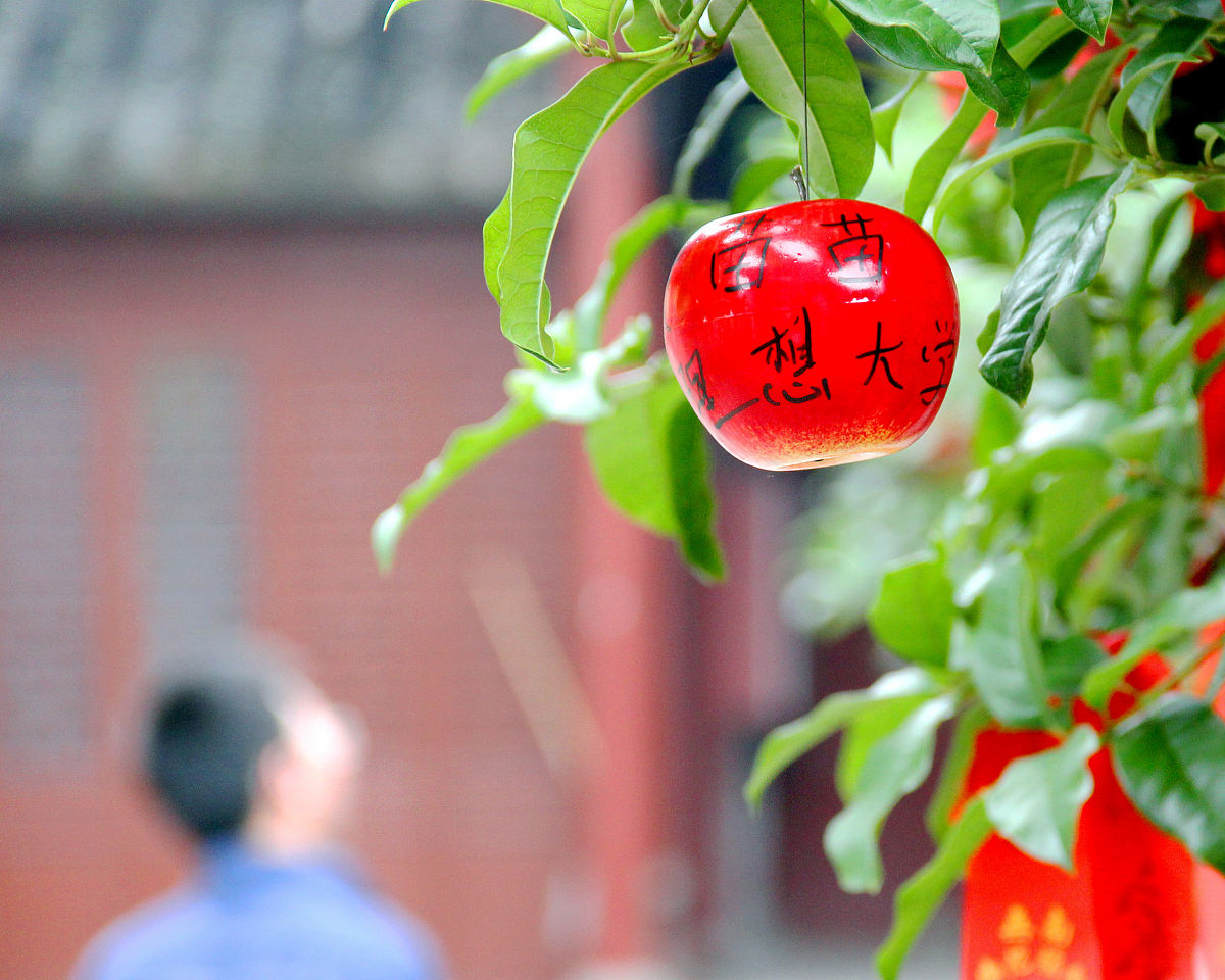 考砸了没上理想大学？别担心，未来还有无限可能！