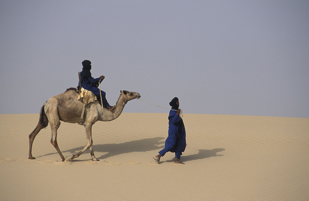 写一首描述沙漠和绿洲的风景诗