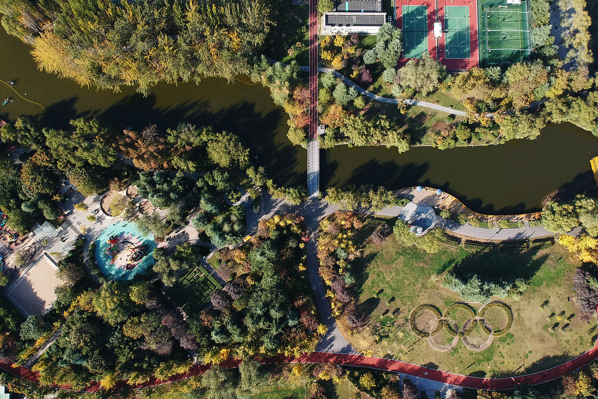 无人机应用：高精度数据采集与分析，助力森林监测和城市规划