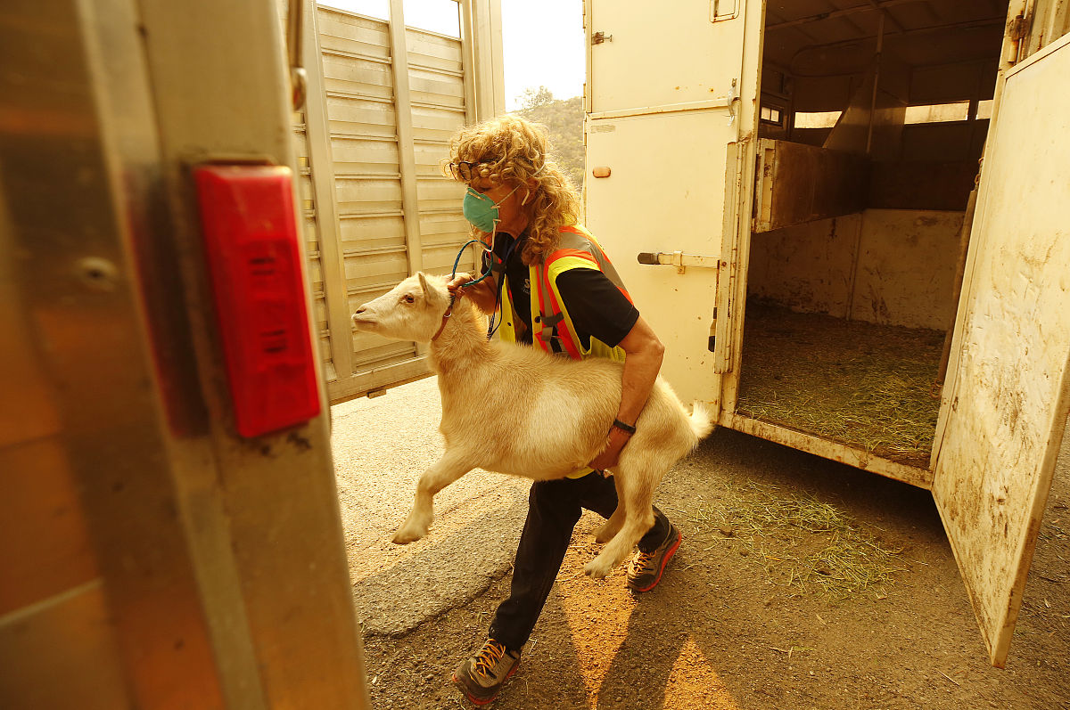 为什么不先救铁