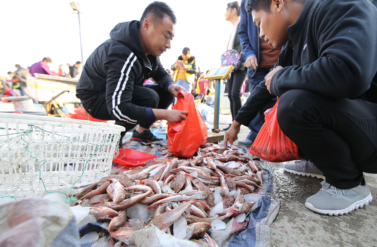 用正式官方的中文翻译这段简历：Summer Intern Small-Scale Fisheries Team & Squid Fisheries Improvement Team	May 2018-August 2018Awarded a $5000 USD grant to implement a self-identified three-month internship at the f