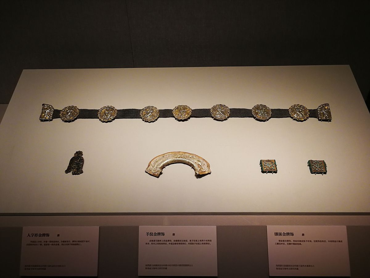 我的生物地理信息采集上面需要我的手机号码 然后我输了我的手机号码是11位 但是上面显示是错误的