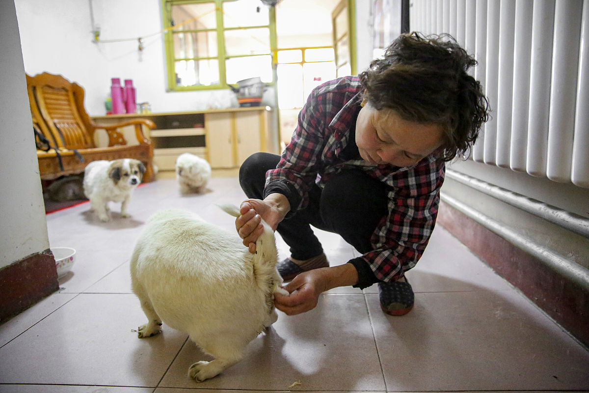 生成今日头条的文章主题为：为什么自然界的动物不要擦屁股而人类要