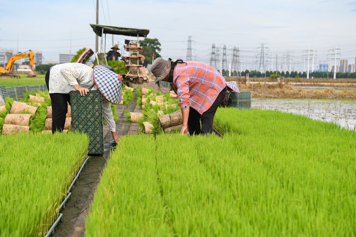 农民种子网络助力钦州三娘湾村渔业社区可持续发展