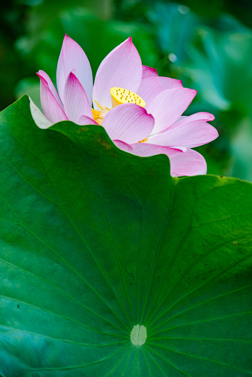 江西有哪些中专好不好