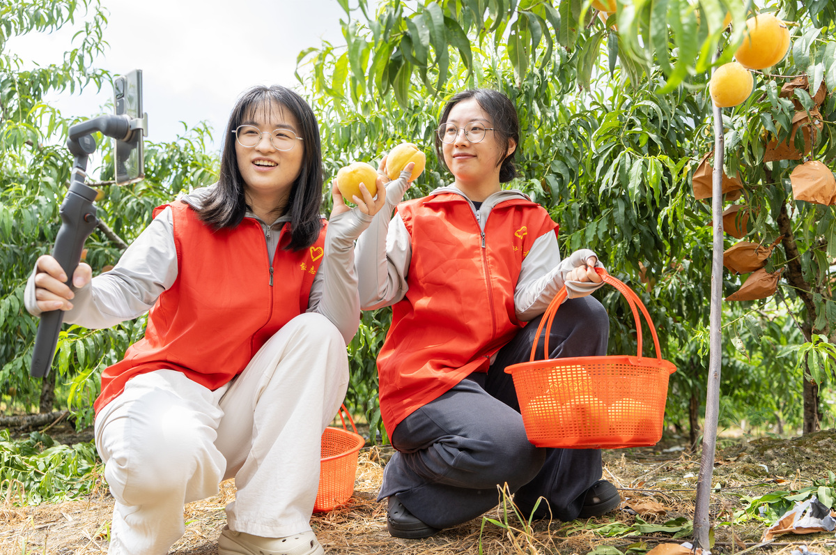 大学生下乡：提升素质，助力乡村振兴