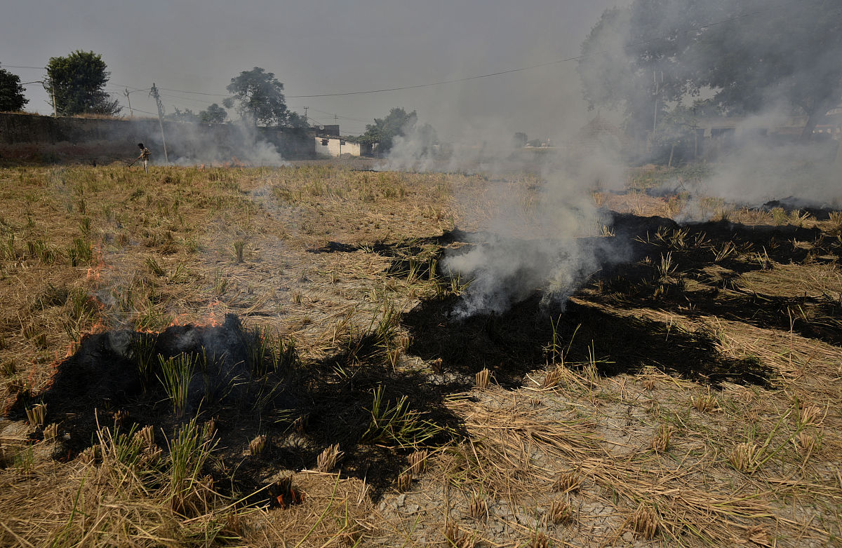 关于写一篇秸秆焚烧的文章