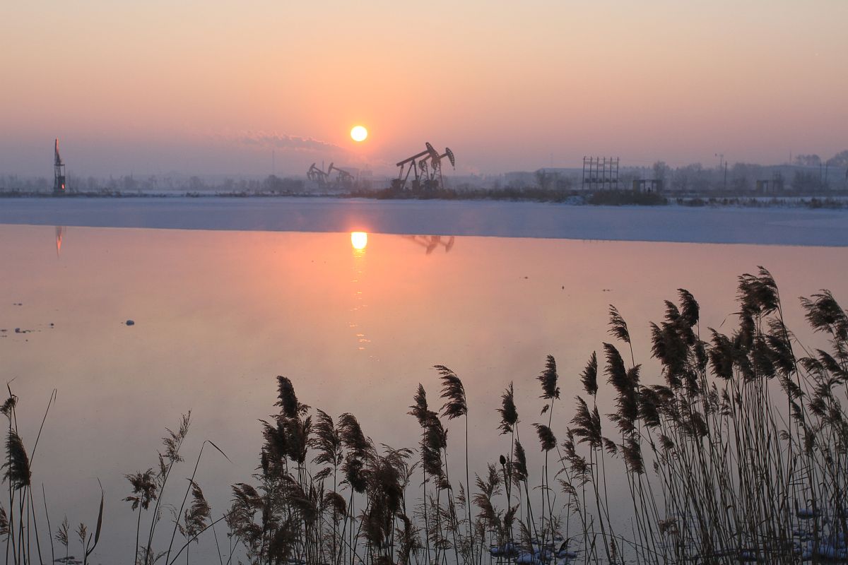 我与我的家乡：一个东营大学生的深情告白