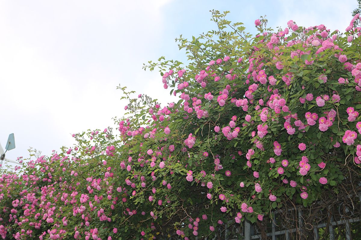 泸州市财经学校2020单招计划_学校简介