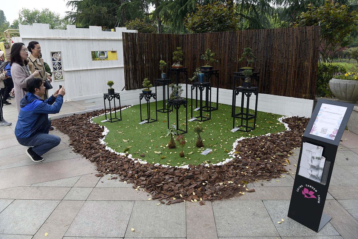 景观设计中的知觉影响：如何创造更美好的环境