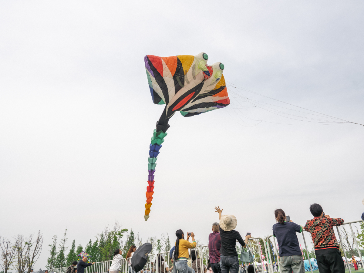 2026年4月5日,四川邛崃,2026年四川·邛崃"崃户外"赛.